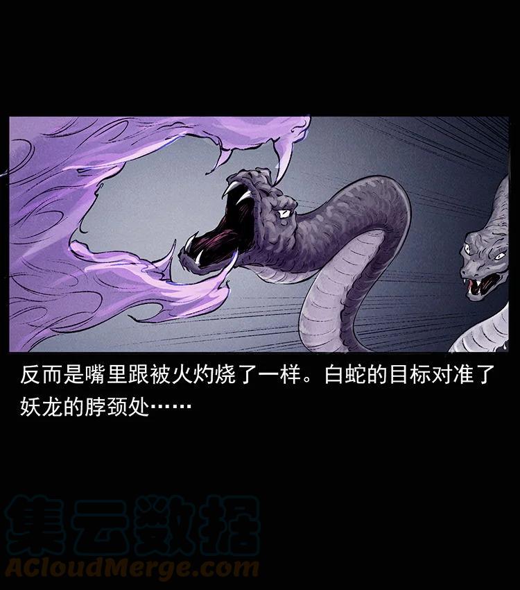 幽冥诡匠 外传 洛生传8 封毒 第4页