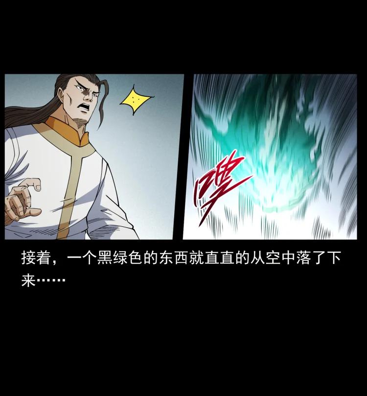 幽冥诡匠 445 不死族 第14页