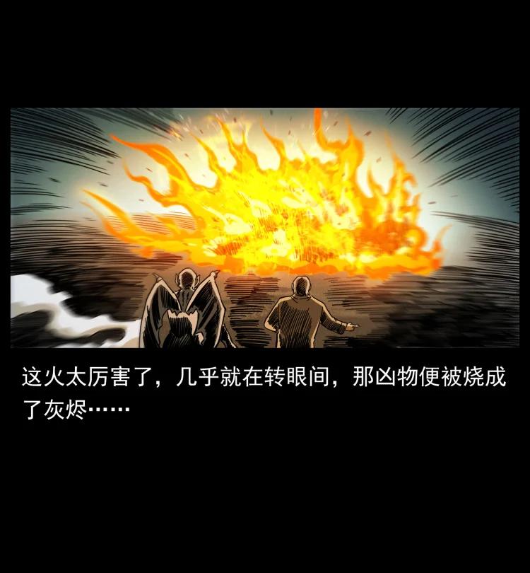 幽冥诡匠 448 用火啊！ 第83页