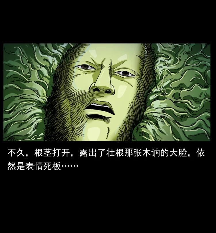 幽冥诡匠 457 向北，再向北！ 第65页