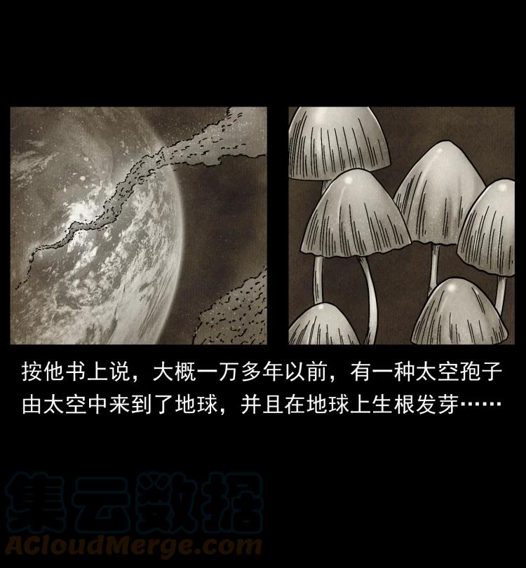 幽冥诡匠 460 你才是猴子变的！ 第25页