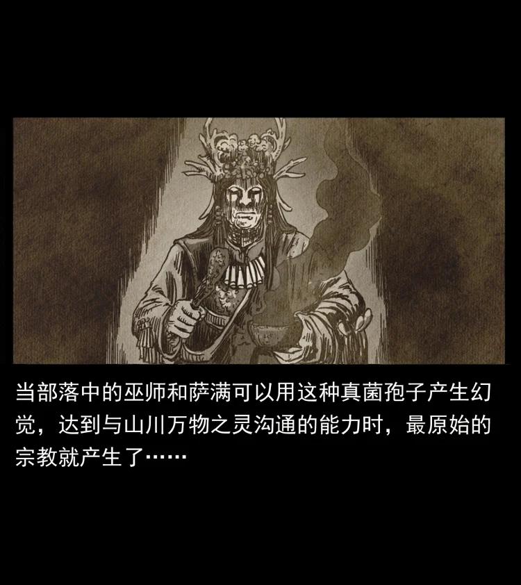 幽冥诡匠 460 你才是猴子变的！ 第30页