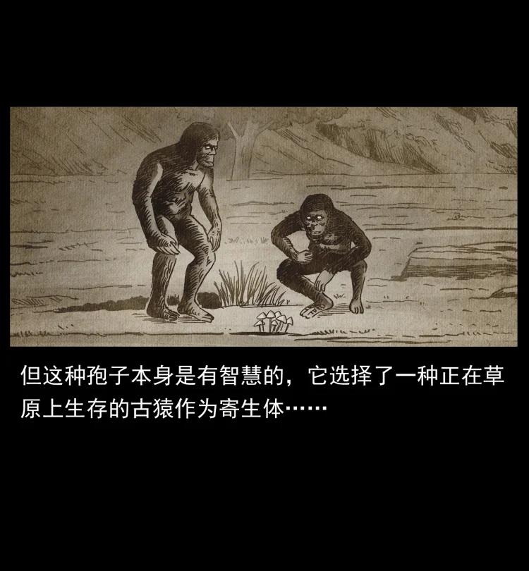 幽冥诡匠 460 你才是猴子变的！ 第26页