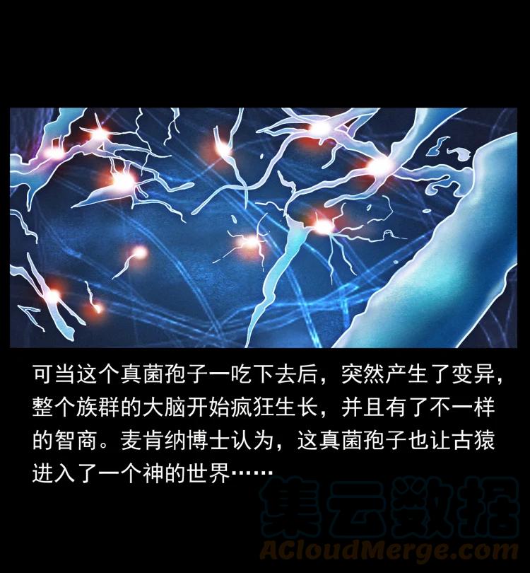 幽冥诡匠 460 你才是猴子变的！ 第28页