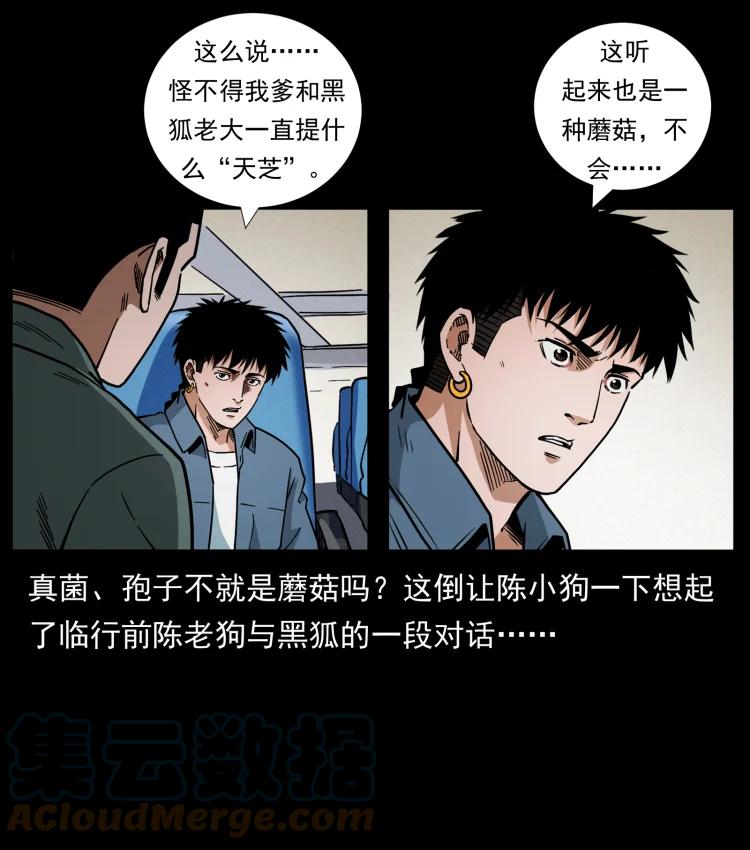 幽冥诡匠 460 你才是猴子变的！ 第34页
