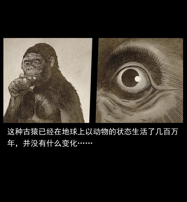 幽冥诡匠 460 你才是猴子变的！ 第27页