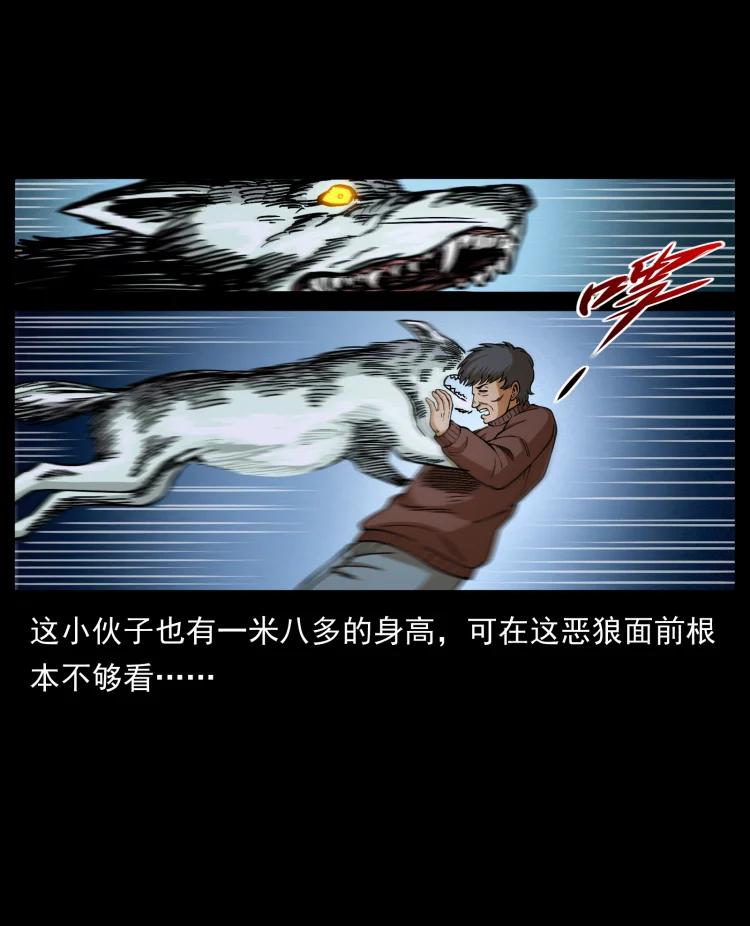 幽冥诡匠 461 极地恶灵 第41页