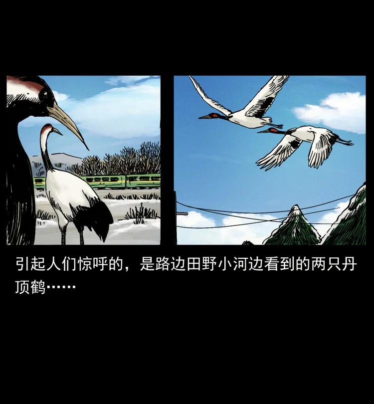 幽冥诡匠 461 极地恶灵 第78页