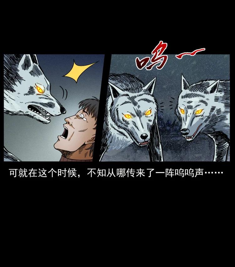 幽冥诡匠 461 极地恶灵 第45页