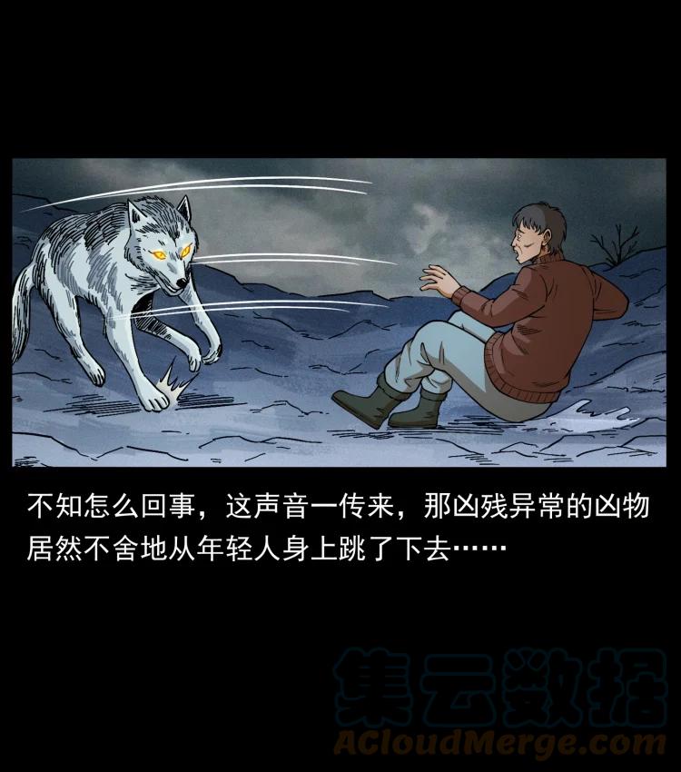 幽冥诡匠 461 极地恶灵 第46页