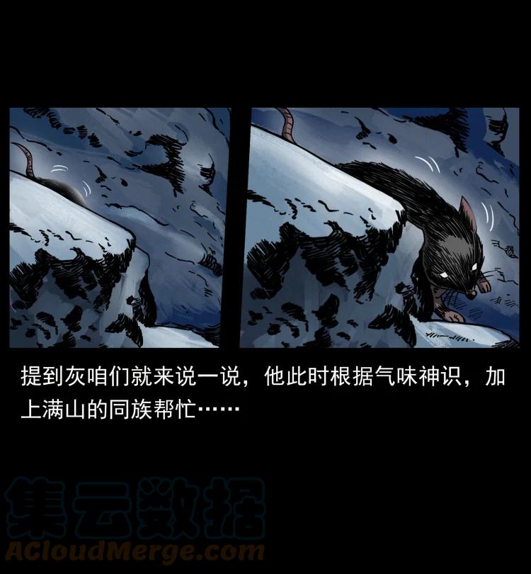幽冥诡匠 464 山神，山神！ 第10页