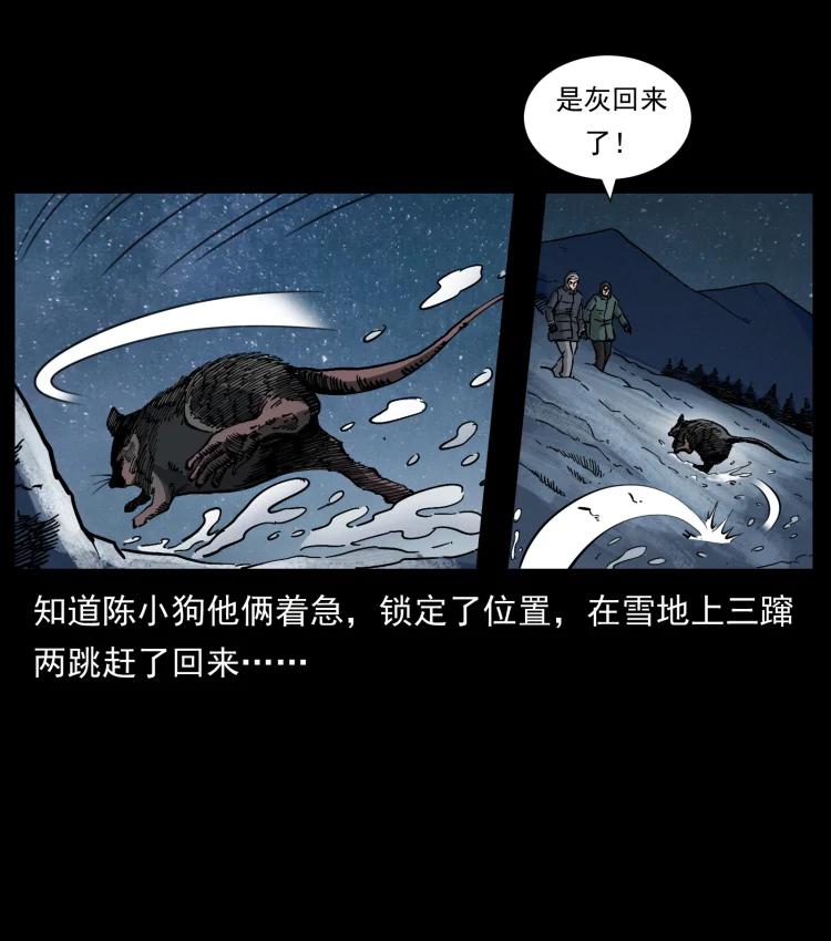 幽冥诡匠 464 山神，山神！ 第12页