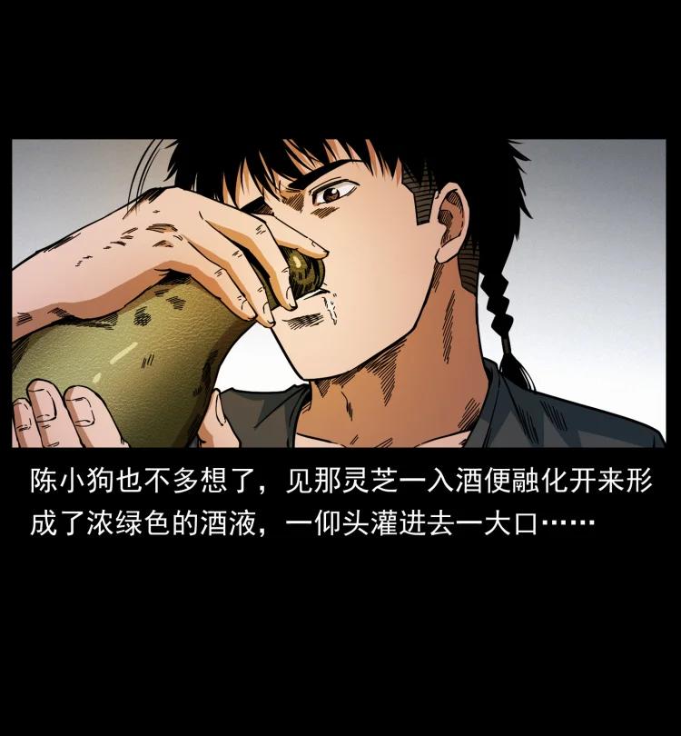 幽冥诡匠 466 萨满的世界 第81页