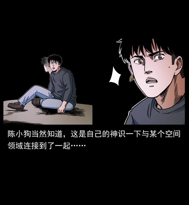 幽冥诡匠 466 萨满的世界 第84页