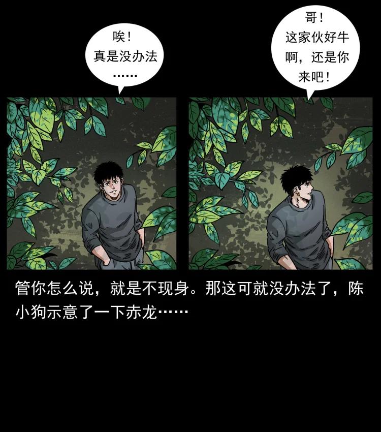 幽冥诡匠 466 萨满的世界 第3页