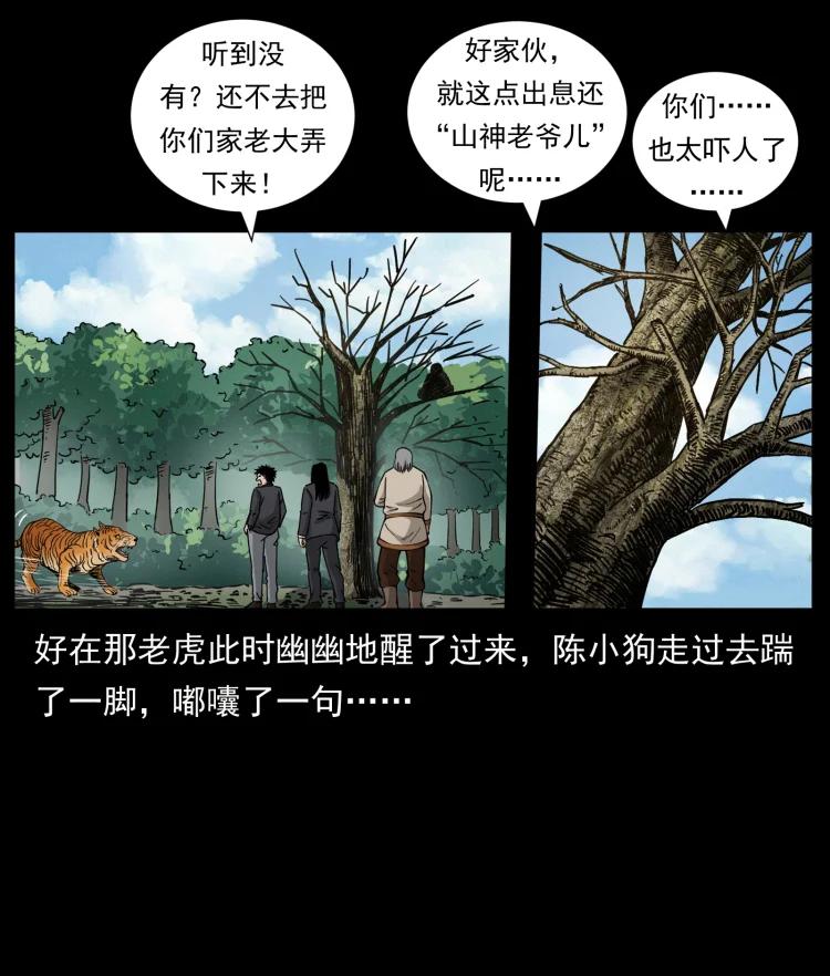 幽冥诡匠 466 萨满的世界 第17页