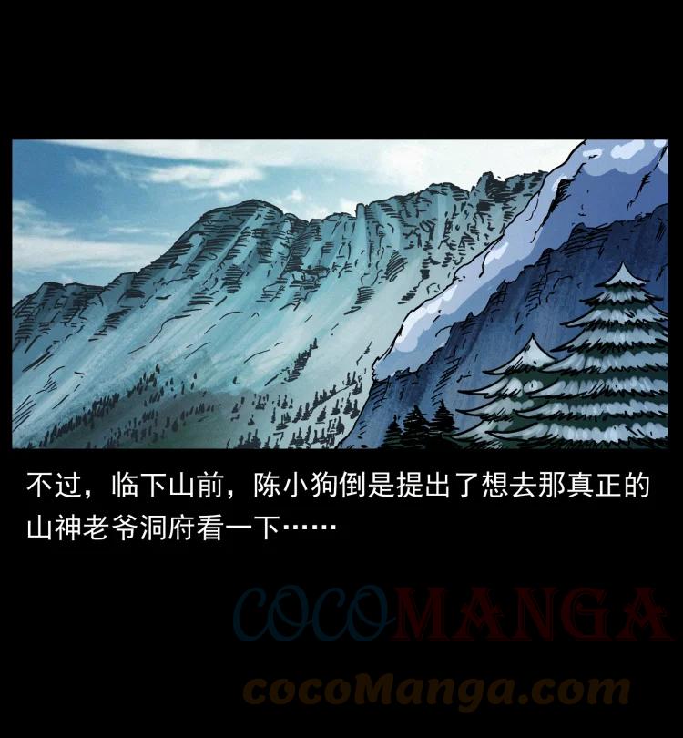 幽冥诡匠 466 萨满的世界 第55页