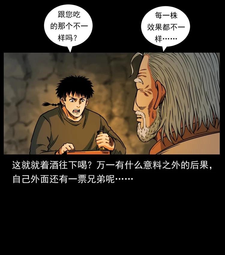 幽冥诡匠 466 萨满的世界 第77页