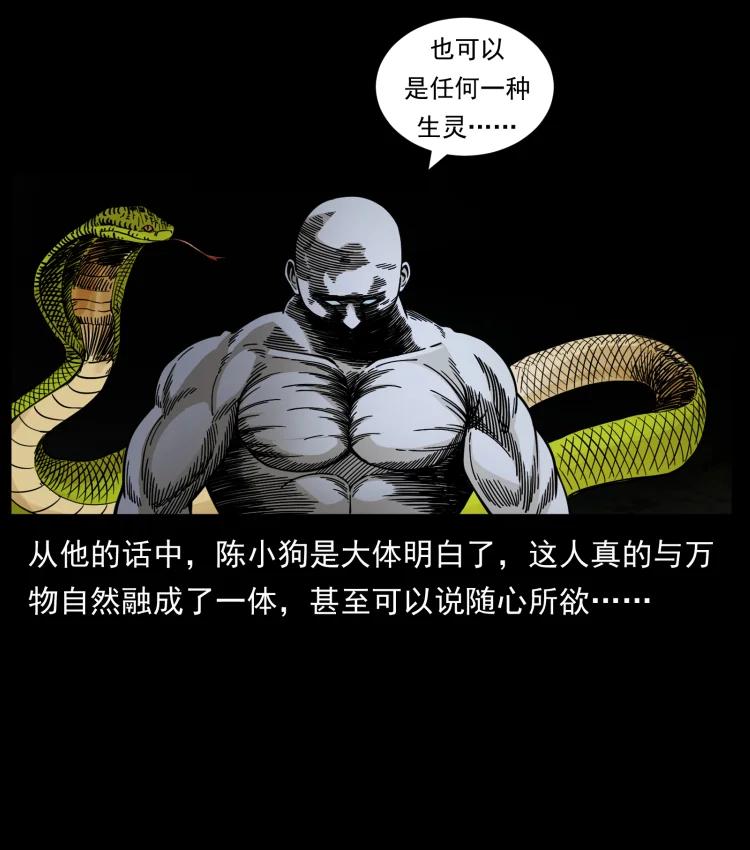幽冥诡匠 467 欢迎进入萨满世界 第42页
