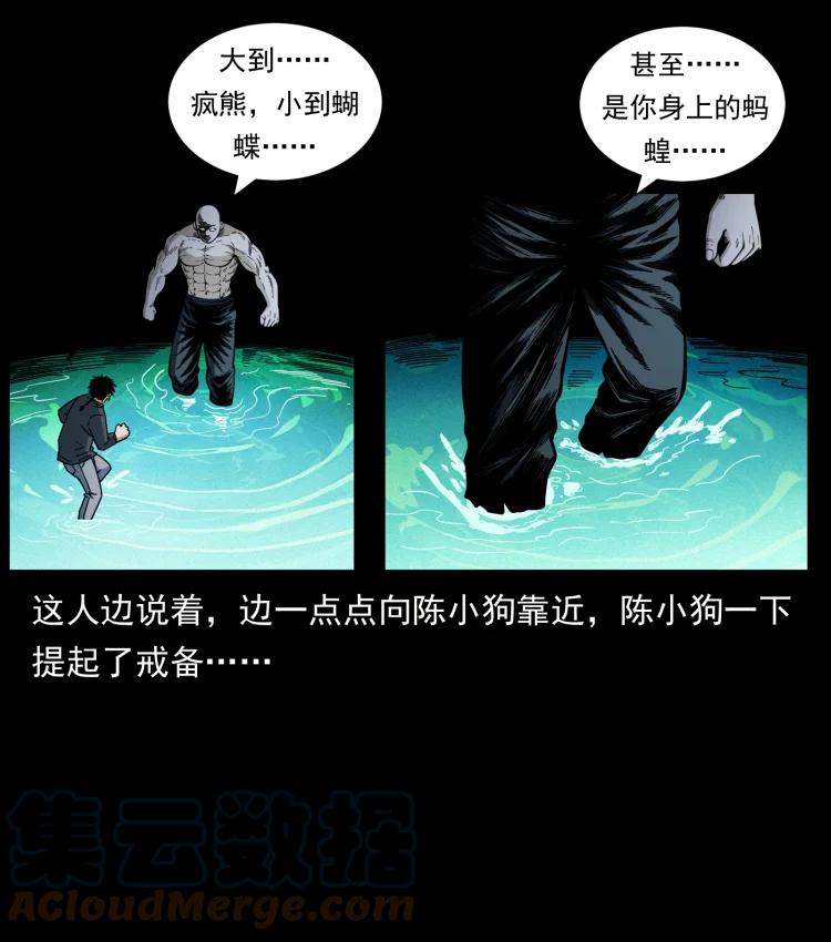 幽冥诡匠 467 欢迎进入萨满世界 第43页