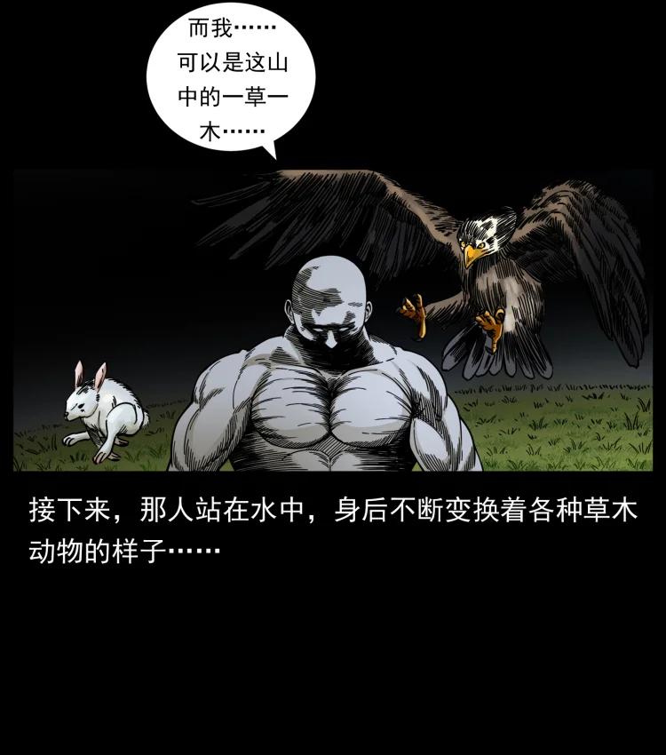 幽冥诡匠 467 欢迎进入萨满世界 第41页