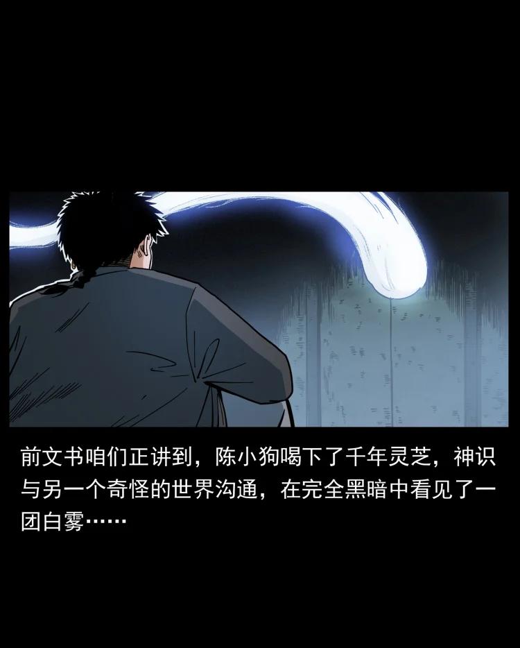 幽冥诡匠 467 欢迎进入萨满世界 第2页