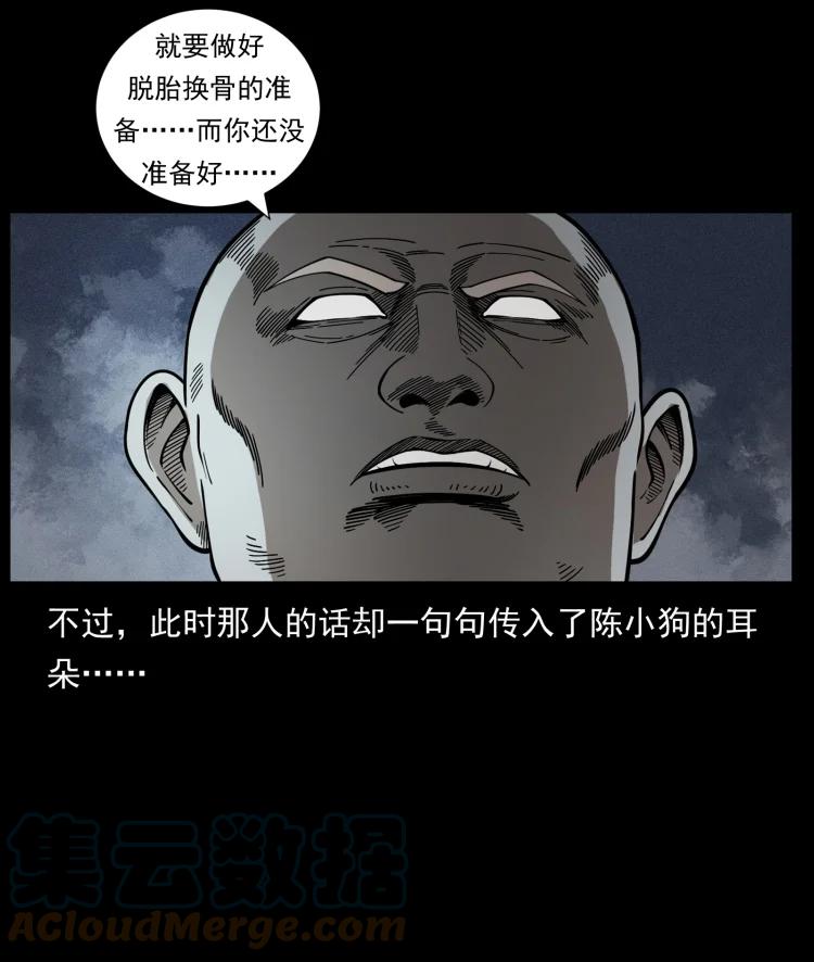 幽冥诡匠 467 欢迎进入萨满世界 第49页