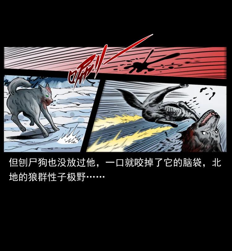 幽冥诡匠 469 冻土的世界 第77页