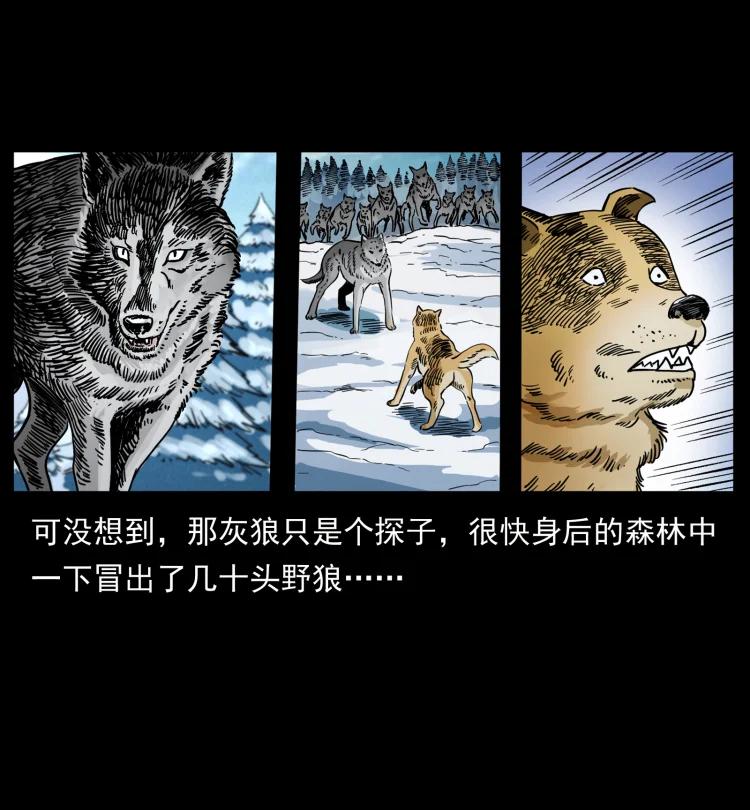 幽冥诡匠 469 冻土的世界 第68页