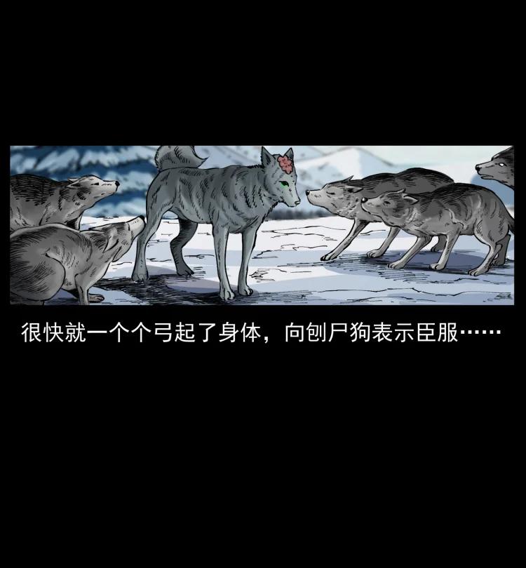 幽冥诡匠 469 冻土的世界 第80页