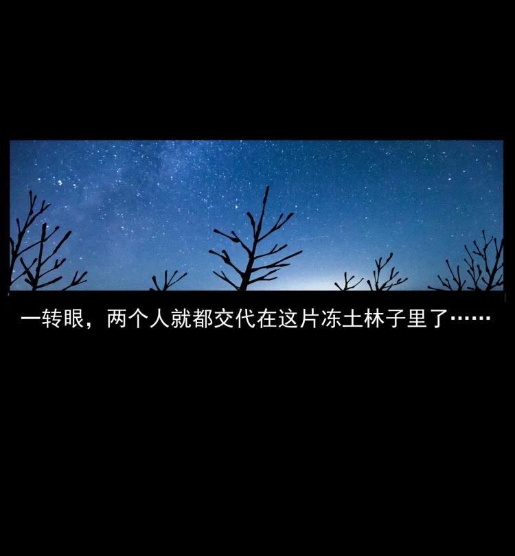 幽冥诡匠 469 冻土的世界 第32页