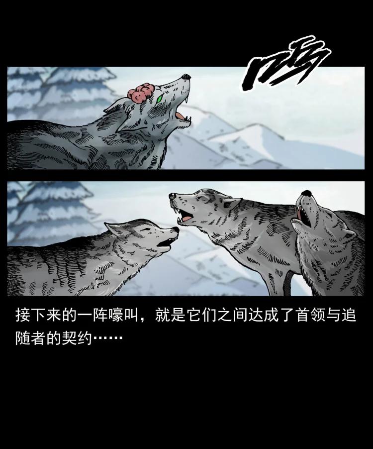 幽冥诡匠 469 冻土的世界 第81页