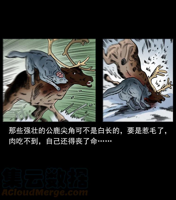 幽冥诡匠 470 前辈的足迹 第19页