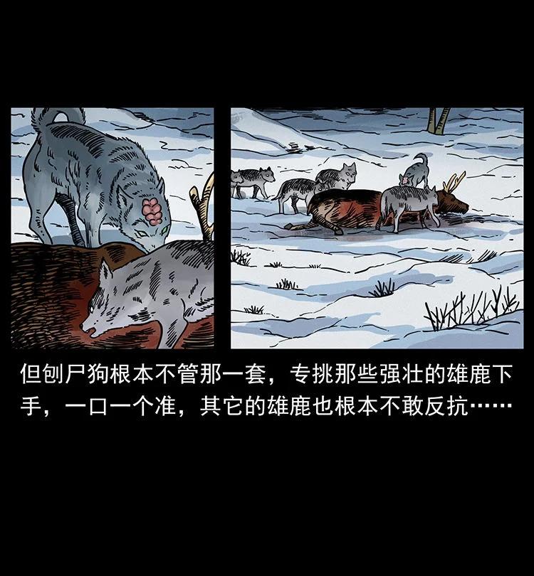 幽冥诡匠 470 前辈的足迹 第20页