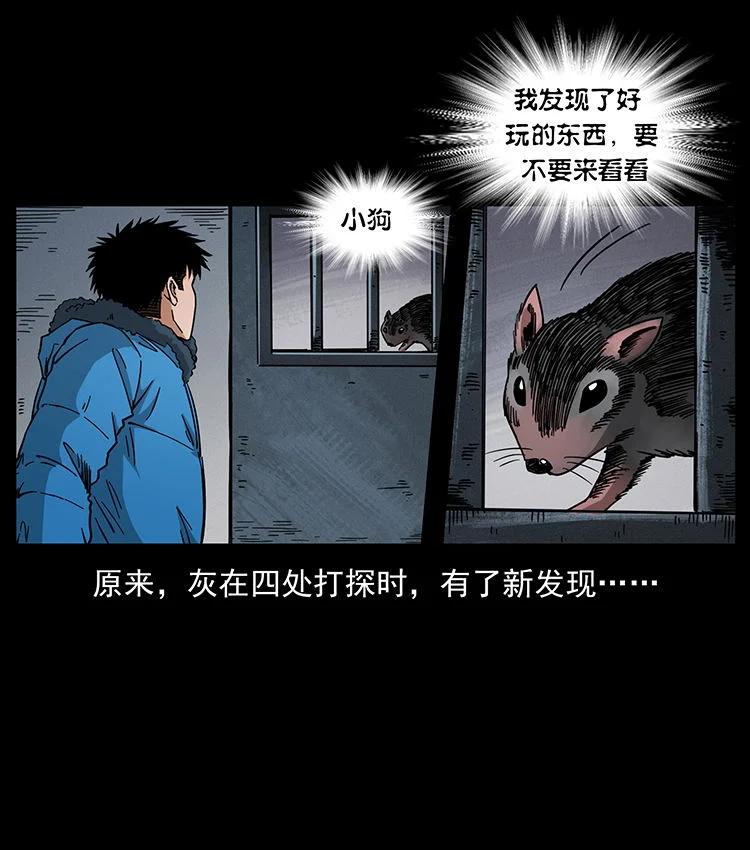 幽冥诡匠 472 贼心不死 第47页