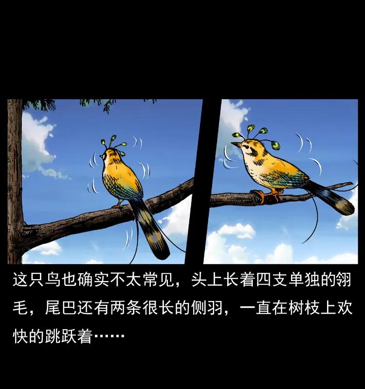 幽冥诡匠 047 接龙骨 第35页