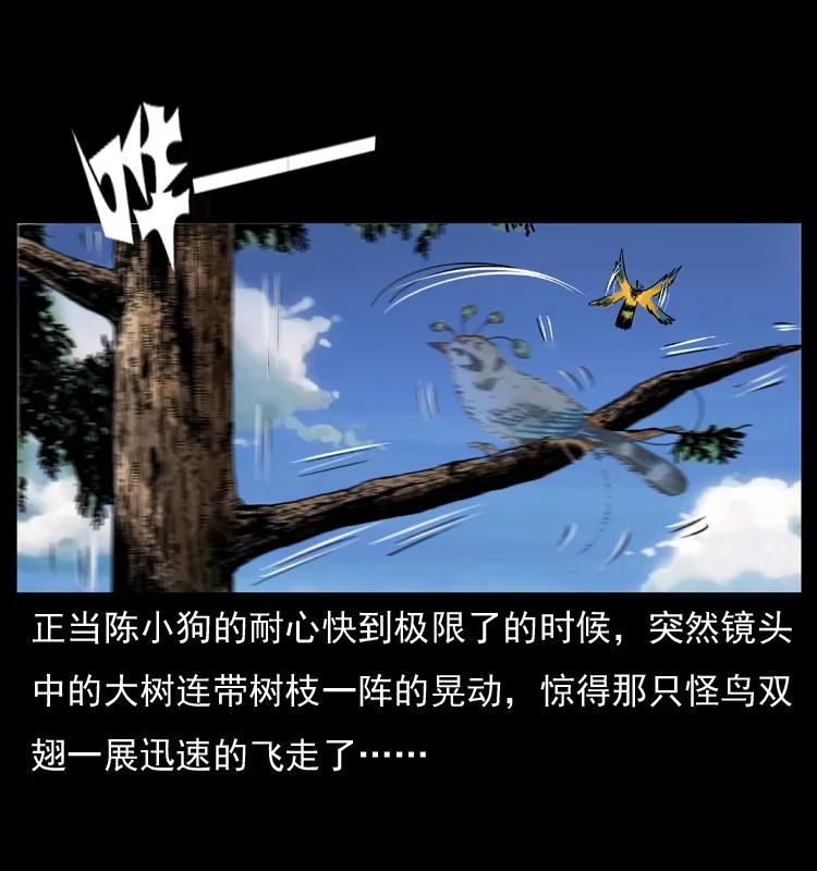 幽冥诡匠 047 接龙骨 第36页