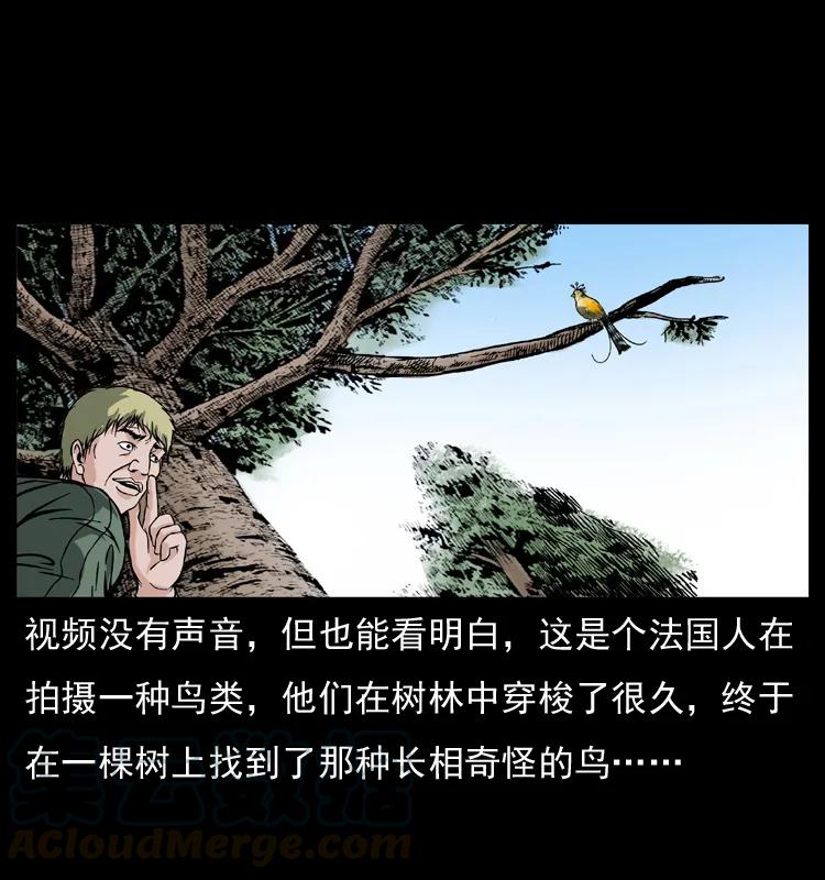 幽冥诡匠 047 接龙骨 第33页
