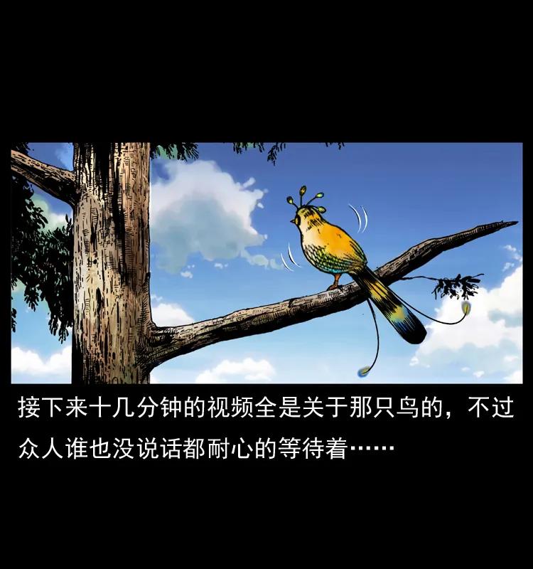 幽冥诡匠 047 接龙骨 第34页