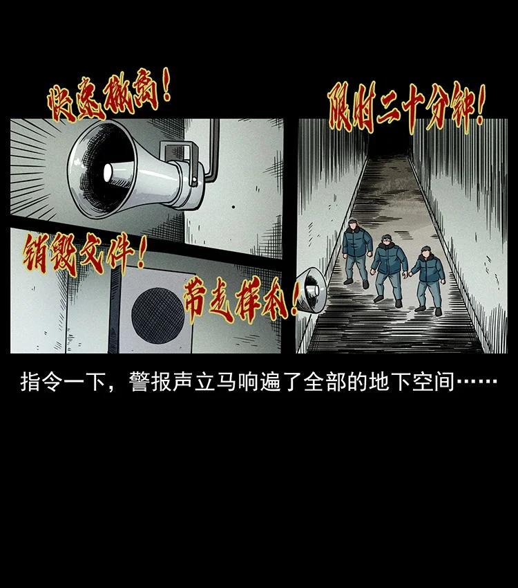 幽冥诡匠 474 地下工事 第50页