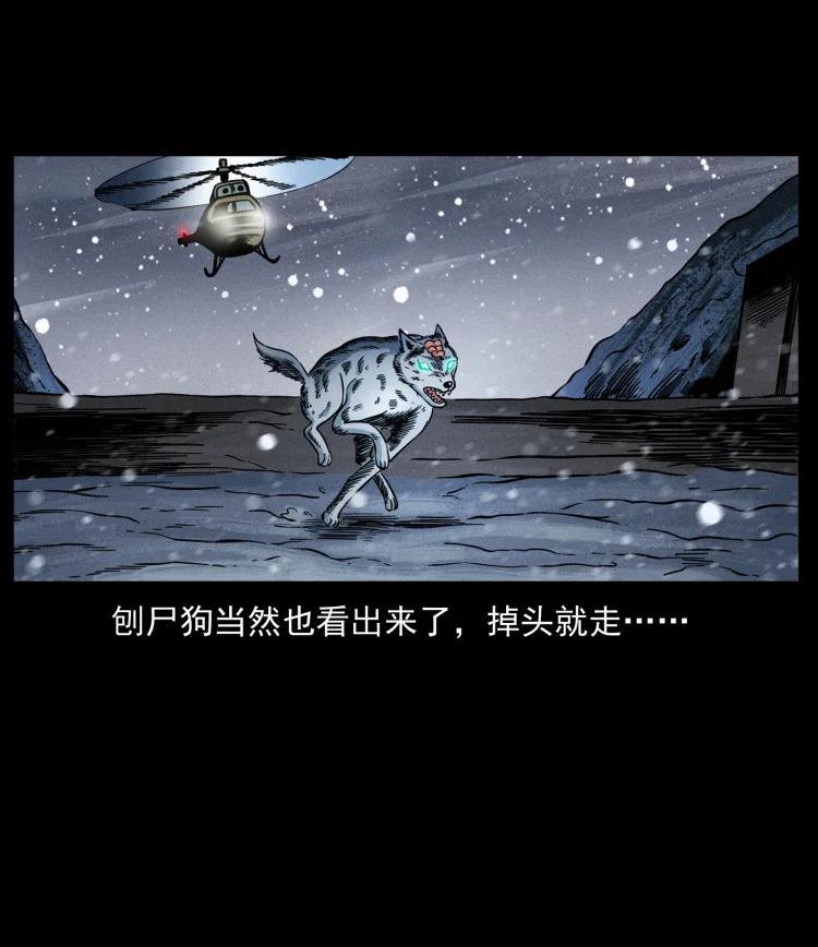 幽冥诡匠 475 撤退 第41页