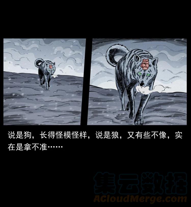 幽冥诡匠 475 撤退 第19页