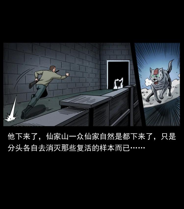 幽冥诡匠 477 干他就完了！ 第74页