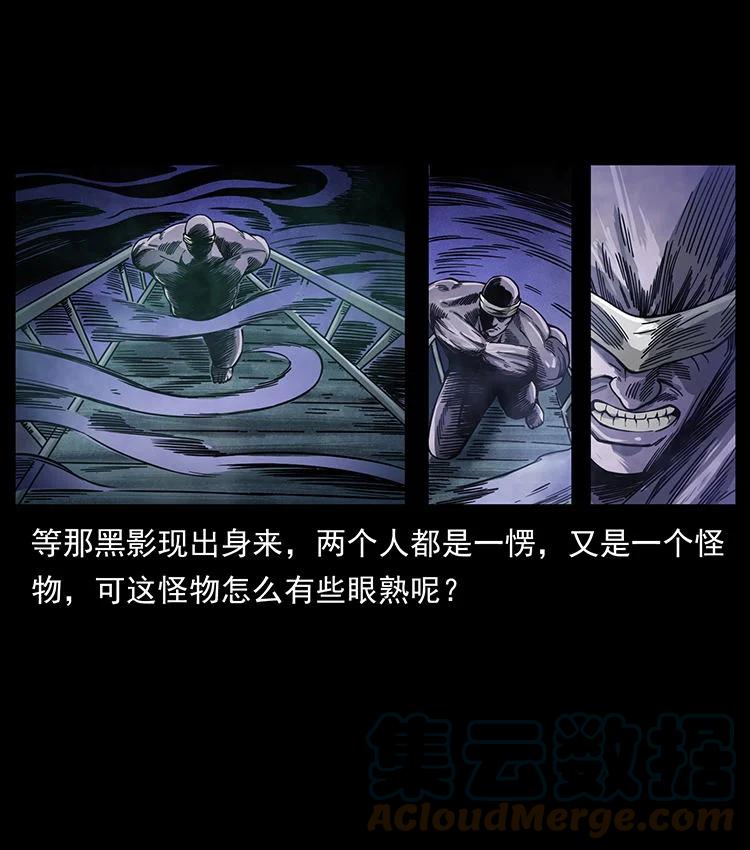 幽冥诡匠 478 打够了 第34页