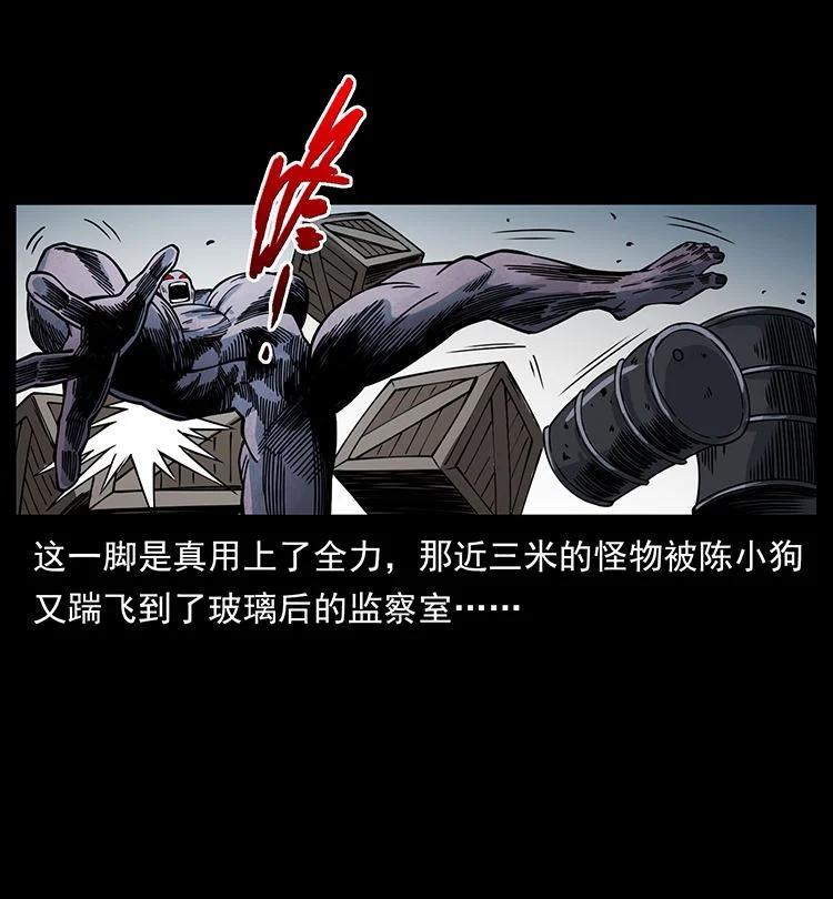 幽冥诡匠 478 打够了 第24页