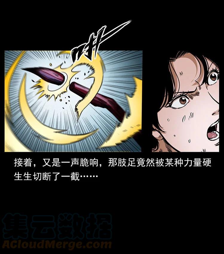 幽冥诡匠 478 打够了 第49页