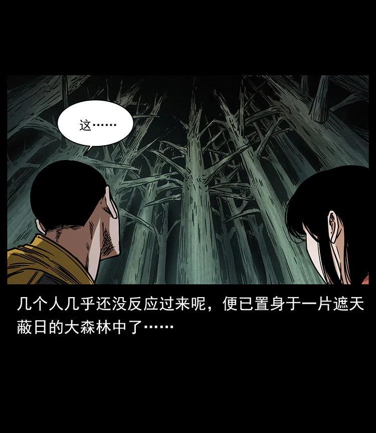 幽冥诡匠 480 萨满来了！ 第17页