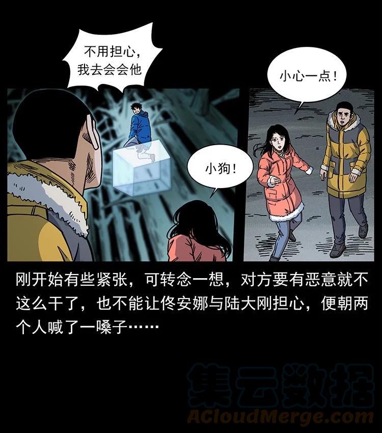 幽冥诡匠 480 萨满来了！ 第49页