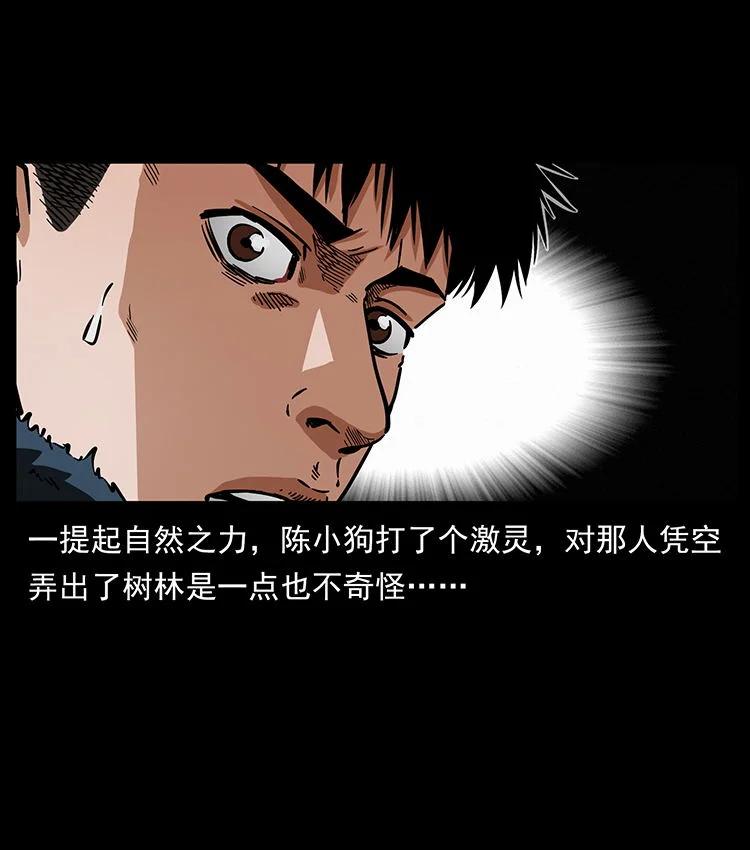 幽冥诡匠 480 萨满来了！ 第45页