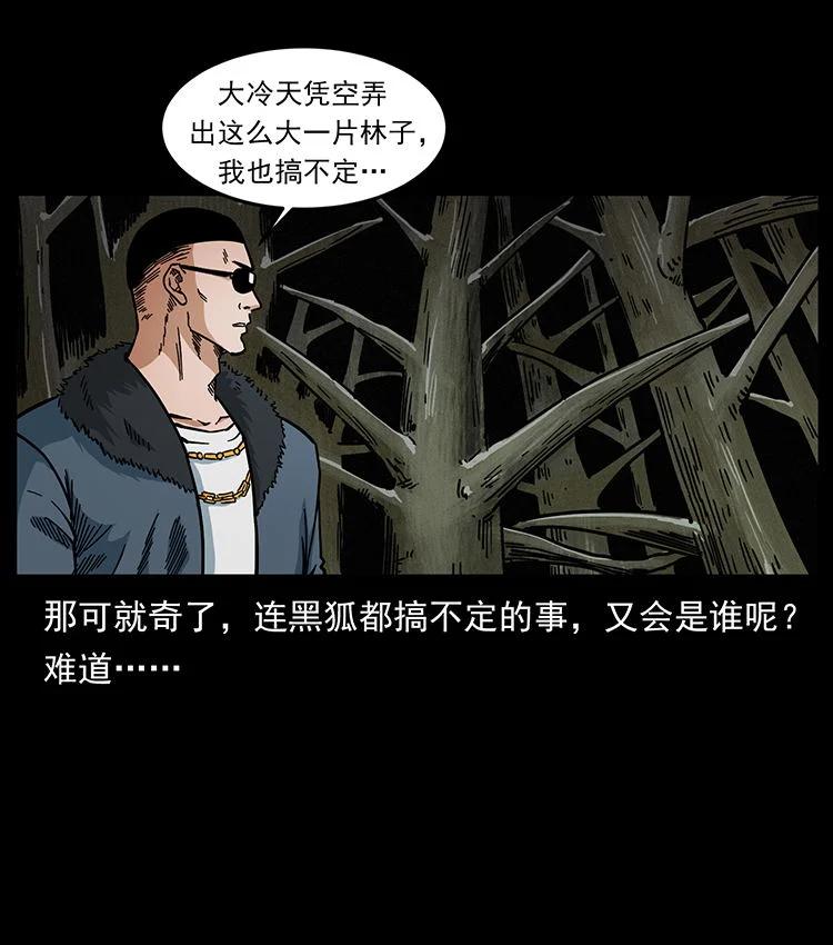 幽冥诡匠 480 萨满来了！ 第33页
